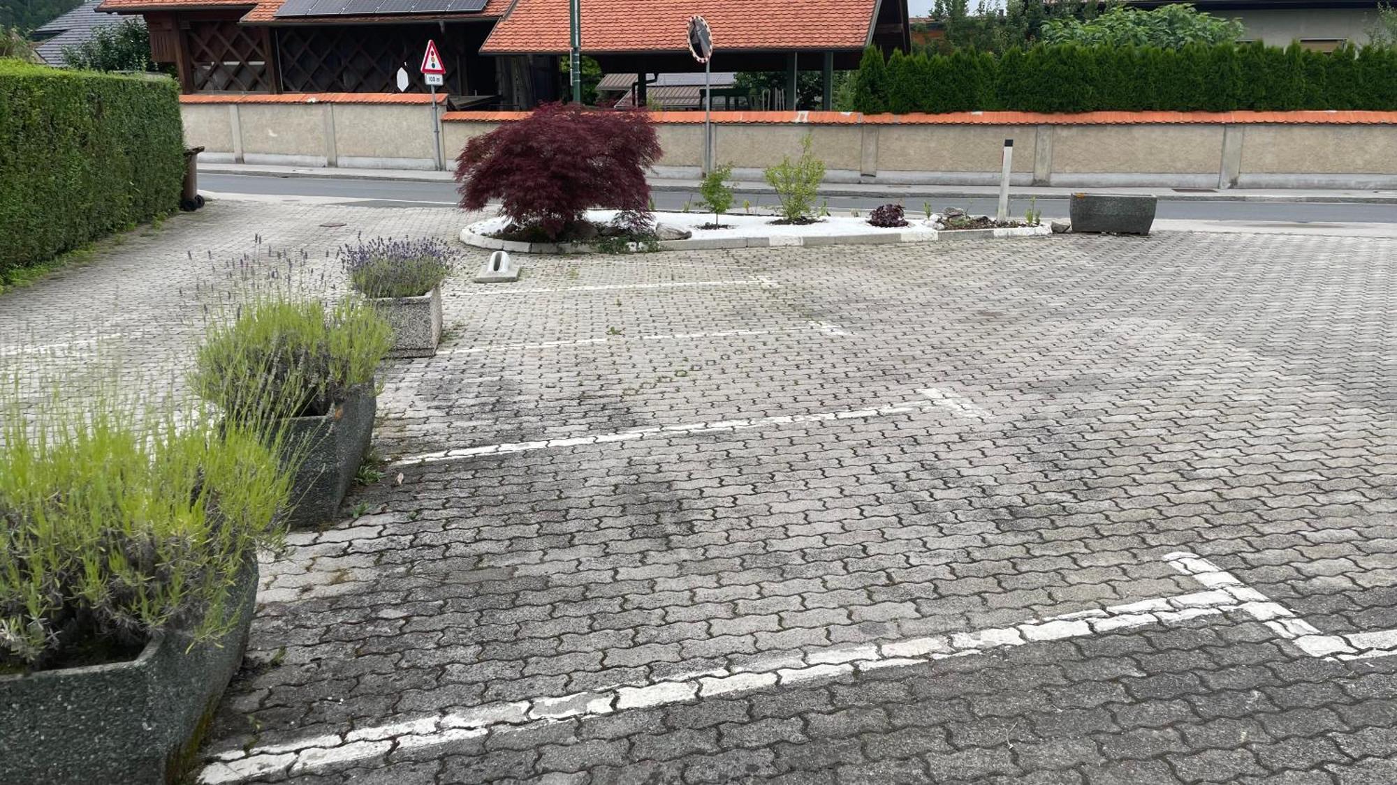 Roses Apartment Prijeten Apartma Za Dve Osebi Mengeš Buitenkant foto