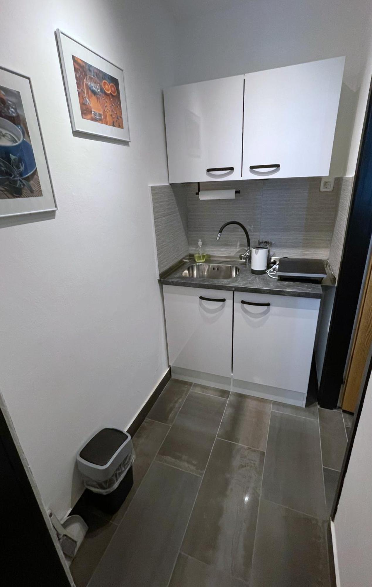 Roses Apartment Prijeten Apartma Za Dve Osebi Mengeš Buitenkant foto